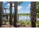 Scenic view of a tranquil lake framed by palm trees and lush landscaping, creating a serene atmosphere at 18172 Ramble On Way, Land O Lakes, FL 34638