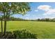 Expansive green field with a large tree in the foreground and houses in the background at 18172 Ramble On Way, Land O Lakes, FL 34638
