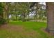 Spacious backyard featuring mature trees and a black fence, creating a serene outdoor space at 1883 Clearbrooke Dr, Clearwater, FL 33760