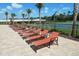 A view of the pool area with orange lounge chairs, and sports courts behind a black fence at 19032 Malinche Loop, Spring Hill, FL 34610