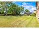 Expansive backyard with lush green lawn, mature trees, and view of screened-in pool area at 32718 Summerglade Dr, Wesley Chapel, FL 33545