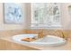 Modern bathroom featuring a luxurious soaking tub with gold fixtures and a large window for natural light at 916 Hemingway Cir, Tampa, FL 33602