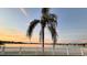 Backyard scene with a palm tree, white picket fence, and tranquil lake view at sunset at 9416 Star Gazer Ln, Riverview, FL 33578