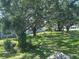 Lush backyard with green grass and mature trees at 1001 77Th N Ave # 206, St Petersburg, FL 33702
