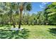 Lush backyard features green grass, palm trees, and a black fence offering privacy at 1025 Seagrape Dr, Ruskin, FL 33570