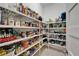 Walk-in pantry with ample shelving for optimal storage and organization at 1025 Seagrape Dr, Ruskin, FL 33570
