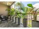 Relaxing covered lanai featuring brick floors, ceiling fan, and several potted plants at 1237 Savona Ne Dr, St Petersburg, FL 33702