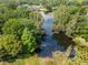Aerial view of a densely wooded area with a small pond covered in lily pads at 17205 Tiffany Shore Dr, Lutz, FL 33549