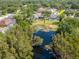 Aerial view of a house with a pool and a pond surrounded by trees and lush greenery at 17205 Tiffany Shore Dr, Lutz, FL 33549