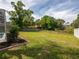Sprawling backyard showcasing lush greenery and ample space at 17205 Tiffany Shore Dr, Lutz, FL 33549