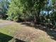 Private backyard featuring lush greenery and a black metal fence at 26514 Chimney Spire Ln, Wesley Chapel, FL 33544