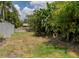 Expansive backyard with lush greenery, partial fencing, and a glimpse of the charming home in the distance at 333 Bay Pl, Safety Harbor, FL 34695