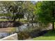 Scenic view of a pond surrounded by mature trees providing a tranquil and natural setting for the property at 333 Bay Pl, Safety Harbor, FL 34695