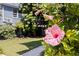 Landscaped backyard featuring lush green grass, tropical plants, and a view of the home's exterior at 341 14Th Ave Ne, St Petersburg, FL 33701