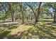 Serene front yard featuring mature trees that create a shaded and tranquil outdoor space at 34125 Chancey Rd, Wesley Chapel, FL 33543