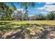 Expansive grassy front yard shaded by mature trees, creating a serene and inviting atmosphere at 34125 Chancey Rd, Wesley Chapel, FL 33543
