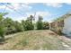 Expansive backyard with a mix of trees, bushes, and a lawn that has both grass and bare areas at 3813 Luma Dr, Holiday, FL 34691