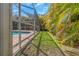 Backyard view with screen enclosure, pool, palm trees, and grass at 4915 Pennsbury Dr, Tampa, FL 33624