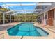 A private screened-in pool with an outdoor shower, lounge chairs, and lush landscaping at 4915 Pennsbury Dr, Tampa, FL 33624