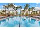 Resort-style pool area with lounge chairs and palm trees, perfect for relaxation at 5823 Bowen Daniel Dr # 906, Tampa, FL 33616