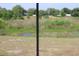 Expansive backyard view from the screened in porch at 7319 Holiday Dr, Spring Hill, FL 34606