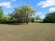 Expansive backyard featuring mature shade trees, providing a serene outdoor space at 7346 Hiawatha Pkwy, Spring Hill, FL 34606