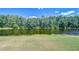 Scenic backyard view featuring lush green lawn leading to a tranquil pond surrounded by a dense tree line at 8474 Dunham Station Dr, Tampa, FL 33647