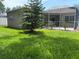 Green backyard view with a decorative tree, manicured lawn, and screened in lanai at 1765 Oak Pond Ct, Oldsmar, FL 34677