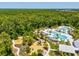 An aerial view of the community pool and playground, nestled among trees and green spaces at 18219 Ramble On Way, Land O Lakes, FL 34638