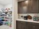 A coffee bar located near the pantry with a stylish decor at 18219 Ramble On Way, Land O Lakes, FL 34638
