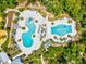 Aerial view of resort-style pools with sun loungers, slides, and lush landscaping in a great community at 18219 Ramble On Way, Land O Lakes, FL 34638