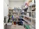 Well-organized walk-in pantry with abundant white shelving for optimal storage and convenience at 18219 Ramble On Way, Land O Lakes, FL 34638