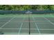 Community pickleball court with clear boundaries, providing a dedicated space for sports and recreation at 29432 Coharie Loop, San Antonio, FL 33576