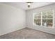 Bedroom showcasing a large window letting in natural light and plush carpeting at 3437 Dragon View Ct, Valrico, FL 33594