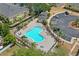 Aerial view of the community pool with lounge chairs and palm trees at 3437 Dragon View Ct, Valrico, FL 33594