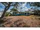 View of the home's backyard at 3962 Poinsettia Dr, St Pete Beach, FL 33706
