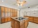 Spacious kitchen featuring granite counters, a central island cooktop, and ample cabinet space at 4033 Priory Cir, Tampa, FL 33618