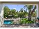 Stunning backyard pool area surrounded by lush greenery and an iron fence at 4804 W Beachway Dr, Tampa, FL 33609