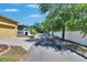 Residential street lined with mature trees and well-maintained properties at 6918 Frog Pocket Pl, Tampa, FL 33616