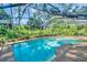 Sparkling swimming pool surrounded by lush greenery in screened in enclosure at 10 Greenhaven Cir, Oldsmar, FL 34677