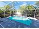 Screened-in pool with stone trim, surrounded by lush tropical plants and a clear blue sky at 10918 Lake Andover Blvd, Tampa, FL 33624