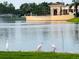 Scenic pond view with pink spoonbills in the foreground and a luxurious building in the background at 11 Franklin S Ct # C, St Petersburg, FL 33711