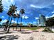 Scenic community park with palm trees, open green space, and skyline views, perfect for outdoor activities and relaxation at 12419 Dawn Vista Dr, Riverview, FL 33578