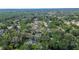 Aerial shot of a neighborhood surrounded by mature trees, featuring a home with a private pool at 17519 Drake Ct, Lutz, FL 33559