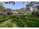Expansive backyard with lush greenery, mature trees, and a screened-in pool enclosure for ultimate privacy at 17519 Drake Ct, Lutz, FL 33559