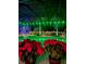 Festive enclosed pool area with bright string lights and a decorated Christmas tree for holiday enjoyment at 20632 Broadwater Dr, Land O Lakes, FL 34638