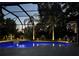 Screened pool with perimeter lights and palm trees create a serene backyard oasis at 20632 Broadwater Dr, Land O Lakes, FL 34638