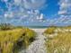 A sandy path leads through lush grasses to a tranquil beach, inviting relaxation at 2254 Norwegian Dr # 46, Clearwater, FL 33763