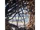 Unique beach view framed by natural driftwood, showcasing the serene oceanfront property and the calming waves at 2254 Norwegian Dr # 46, Clearwater, FL 33763