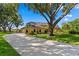 Spacious home exterior with a long driveway, lush landscaping, and mature trees at 2513 Buckhorn Run Dr, Valrico, FL 33596